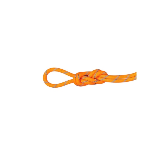 マムート（MAMMUT）アルパインセンダー　ドライ　40m　8.7mm　2010-04190